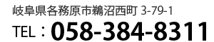 岐阜県各務原市鵜沼西町3-79-1 電話:058-384-8311